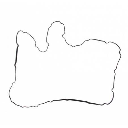 Garnitura capac culbutori motor F3AE0681 Iveco Stralis/EuroTrakker 500323899,500323989 - 1