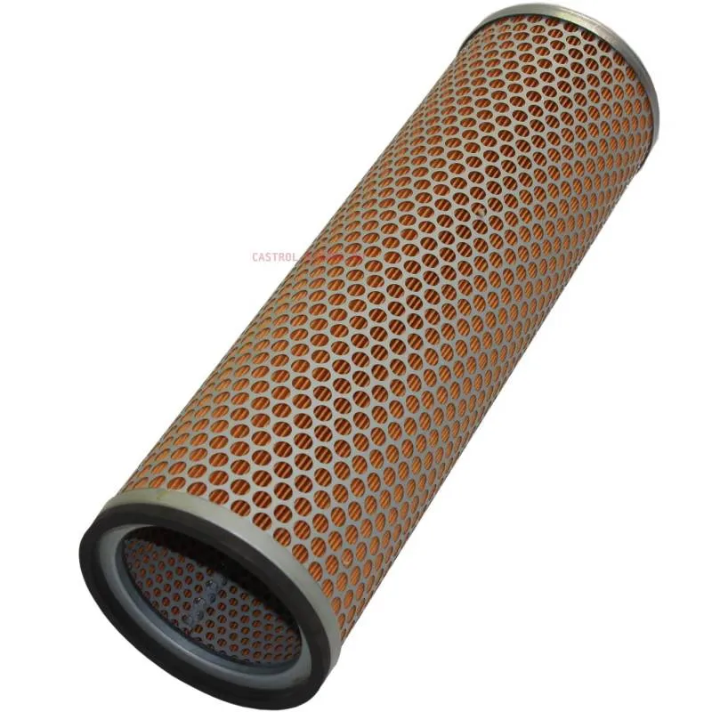 Filtru Aer C12116/2 1930790 1426450M91 Mann Filter - 1