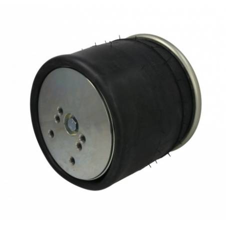 Perna aer completa BPW 0542940910, 0542941231