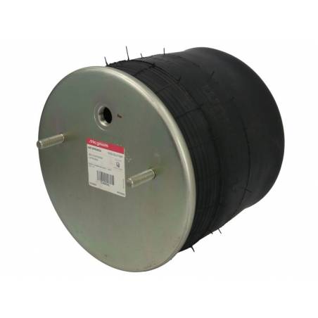 Perna aer completa BPW 0542940910, 0542941231