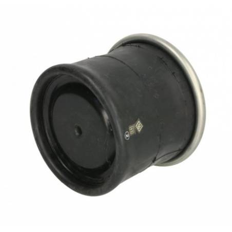 Perna aer completa Daf CF75/85 1697680,1286251