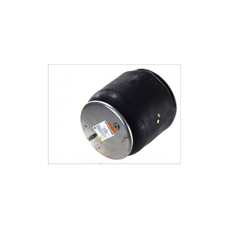 Perna aer completa Daf LF 45 1407329,1D23G-1 - 1