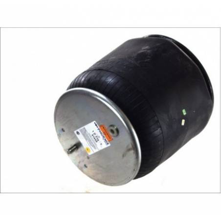 Perna aer completa Daf LF 45 1407329,1D23G-1 - 1