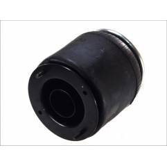 Perna aer completa Daf LF 45 1407329,1D23G-1