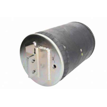 Perna aer completa Iveco Stralis 42559765,500042600 - 2