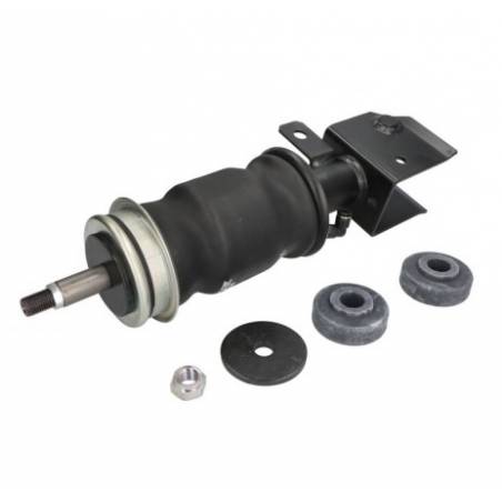 Perna cabina spate Renault Magnum 5010228849,4386040700 - 1