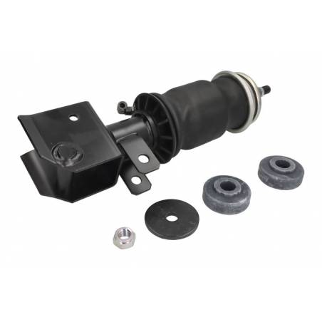 Perna cabina spate Renault Magnum 5010228849,4386040700