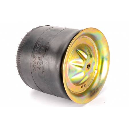 Perna aer completa Mercedes Actros/Atego/Axor 9423204821,4758NP01