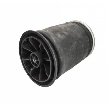 Perna aer completa Schmitz 4158NP03 014892,750999 - 1