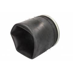 Perna aer completa BPW 4960NP02,0542941770