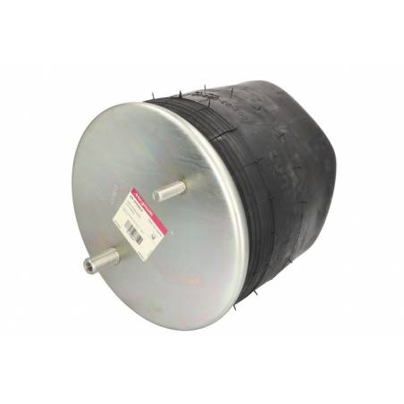 Perna aer completa BPW 4960NP02,0542941770