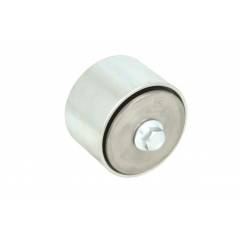 Rola ghidare curea motor F2BE0641-F3HGE611Z Iveco EuroTrakker-Stralis 500318393,504006261