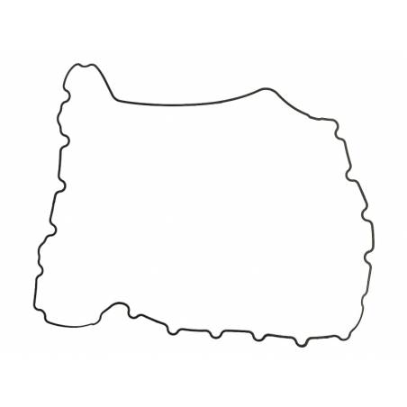 Garnitura termoflot Volvo/Renault 7420979871,20979871 - 1