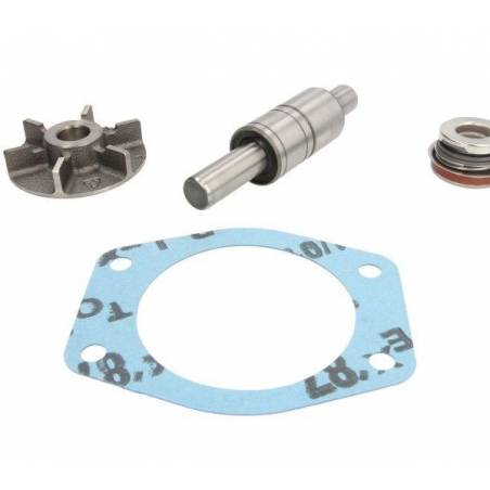 Kit Reparatie Pompa Apa Landini,VPE2011 , 731774M91 Vapormatic - 1