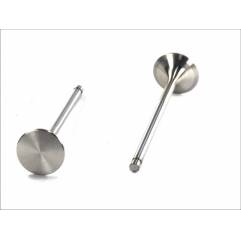 Supapa evacuare Daf CF85/95XF 1307655,1327029 - 1