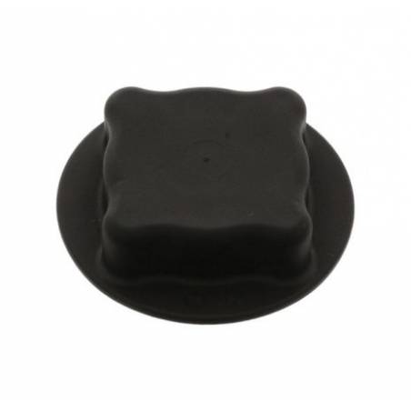 Buson vas expansiune Volvo/Renault 1674083,7401674083 - 1