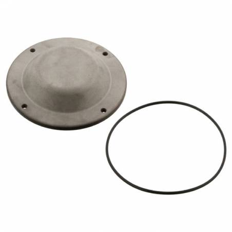 Capac butuc roata Daf CF/XF 1691965,1881800