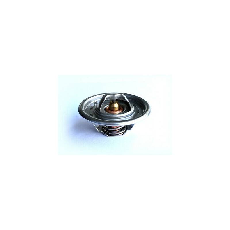 Termostat Massey Ferguson 38857,12485668, 2485639, 2485655, 2485696, 33873,1446222M91 Sparex - 1
