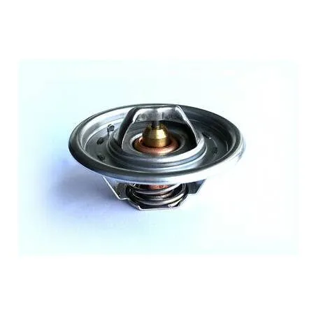 Termostat Massey Ferguson 38857,12485668, 2485639, 2485655, 2485696, 33873,1446222M91 Sparex - 1