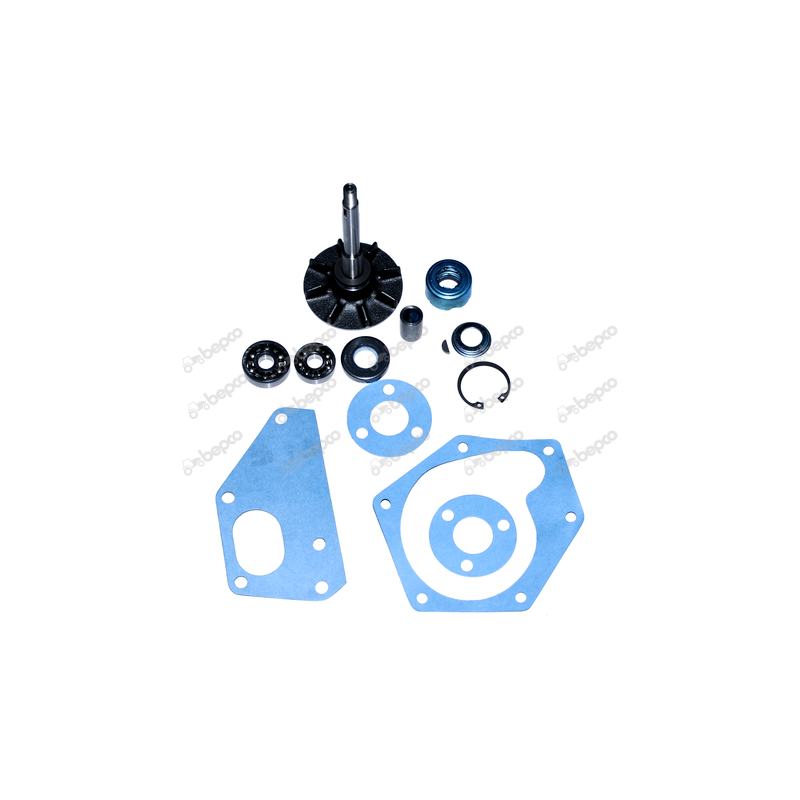 Kit Reparatie Pompa Apa Fiat 1909619 Bepco - 1