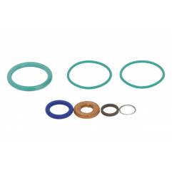 Set reparatie injector Commorail MAN 3976372,51987010139 - 1