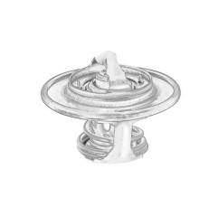 Termostat racire apa Iveco EuroCargo 504258346,504320545 - 1