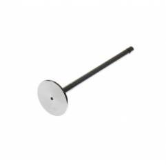 Supapa admisie motor Euro 2 Daf CF85/95XF 1603846,1684773 - 1