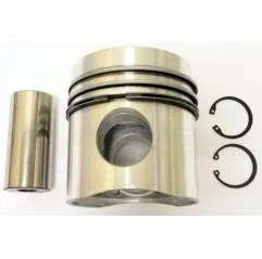 Piston Motor Fendt F158200310010 Bepco - 1