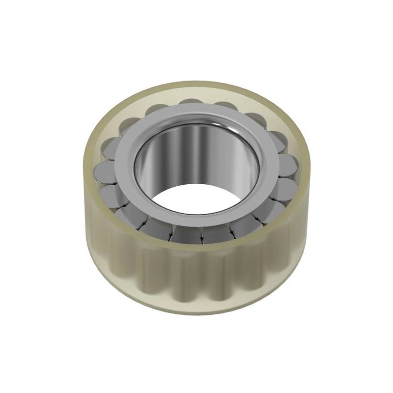 Rulment cu role cilindrice Ø 38x53.5x29.4 mm- CPM 2504 - 1