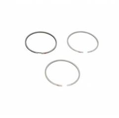 Segmenti compresor aer comprimat FI100 STD Man/Renault 51541030001,5010323075 - 1