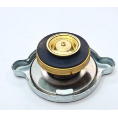 Buson radiator Ford, 4988491 - 1