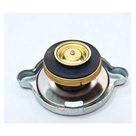 Buson radiator Ford, 4988491 - 1