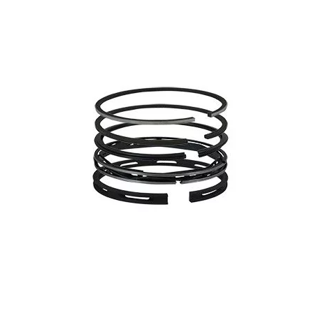 Set segmenti motor Perkins, 41158057, 41158077, 745661M91, 745818M91 - 1