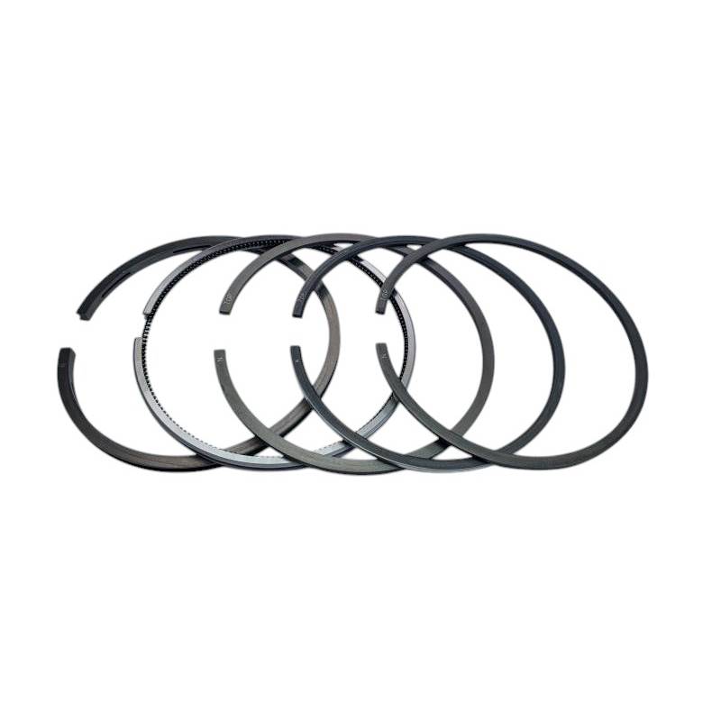 Set segmenti motor Ford FI 100 MM , E1ADKN6149A, 510E6148C - 1