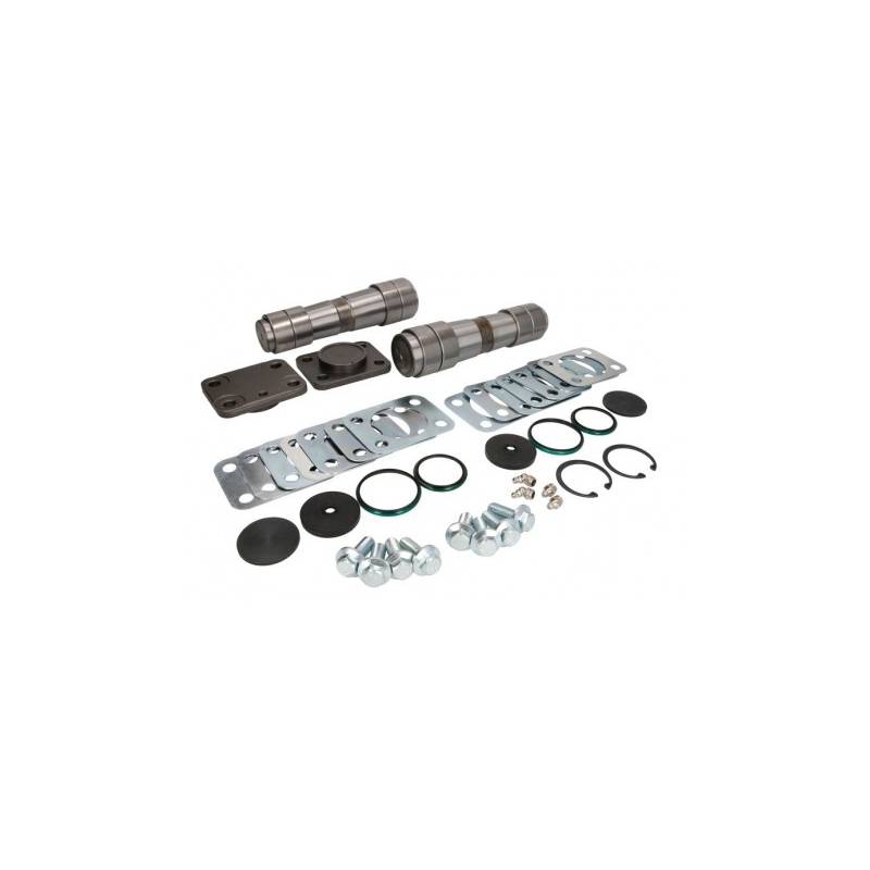 Kit pivoti Iveco EuroCargo/Trakker/Stralis 1904698,2992185 - 1
