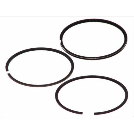 Set segmenti motor Ford Transit, 93,67x2,5x2x4mm STD - 1