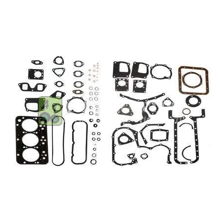 Set Garnituri Motor Fiat 1900196,R31600 Expert - 1