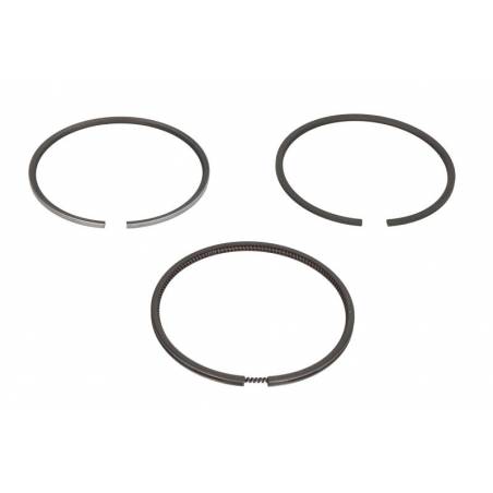 Set segmenti motor Case-IH Fi 98.42 MM 3059261R91, 3139594R91 - 1