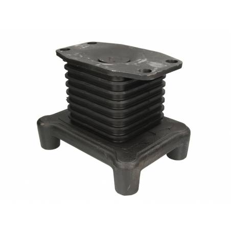 Tampon arc Man F2000 81962105025,81962105026 - 1