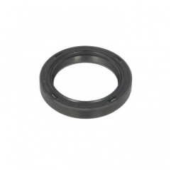 Simering pompa injectie 28.5x38.1x6