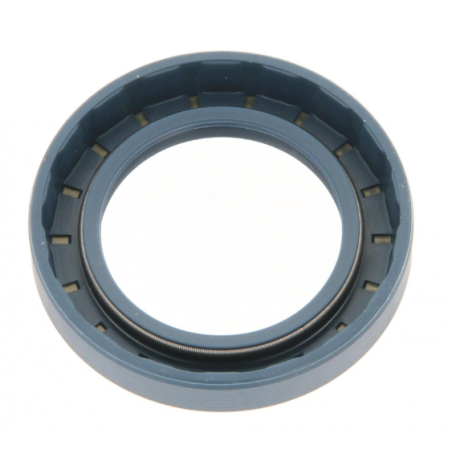 Simering etansare Volvo 38x58x10 mm