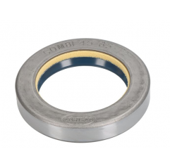 Simering punte fata Case 45x65x12 mm