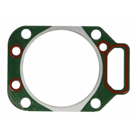 Garnitura chiuloasa Fendt FI 113 mm - 1