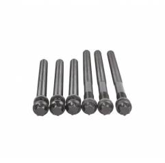 Set prezoane chiuloasa motor D2876LF12-D2876LOH21 Man TGA 51900200403 51900200404 - 1