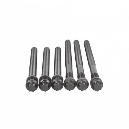 Set prezoane chiuloasa motor D2876LF12-D2876LOH21 Man TGA 51900200403 51900200404 - 1