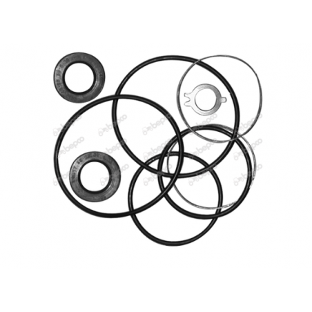 Set garnituri pompa hidraulica