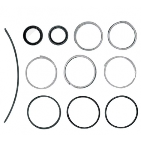 Kit reparatie cilindru directie Fendt G001990010010