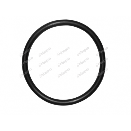 O-ring monobloc Case IH