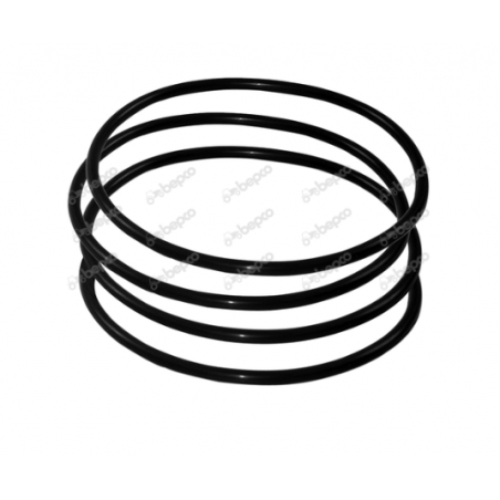 Set inele camasi motor Steyer