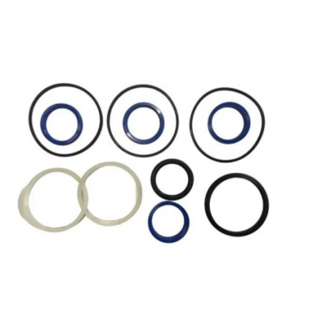 Set garnituri cilindru directie Ford - 1